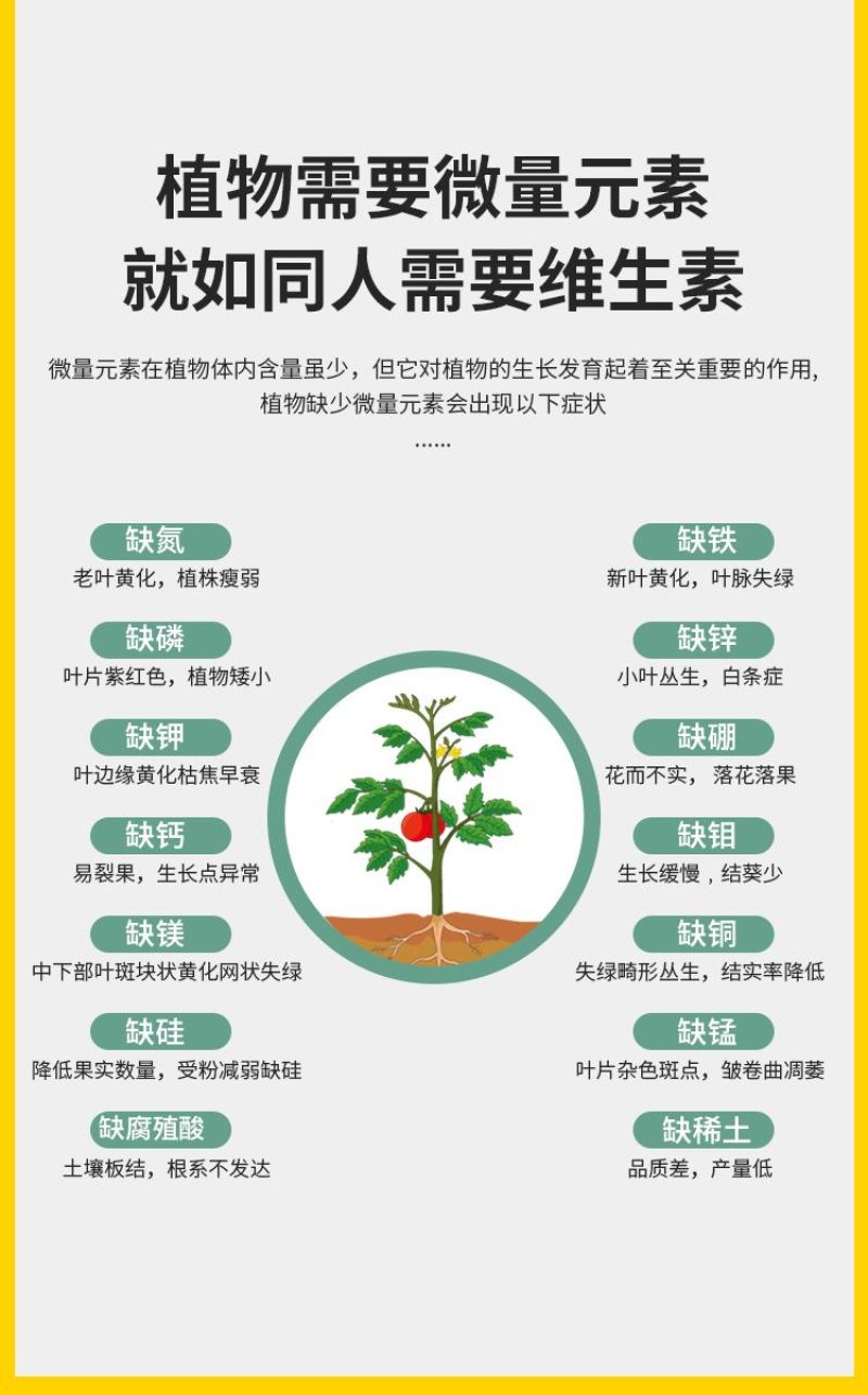 水稻粒粒饱水稻黄金增产促分蘖抗倒伏生根壮苗专用叶面肥料