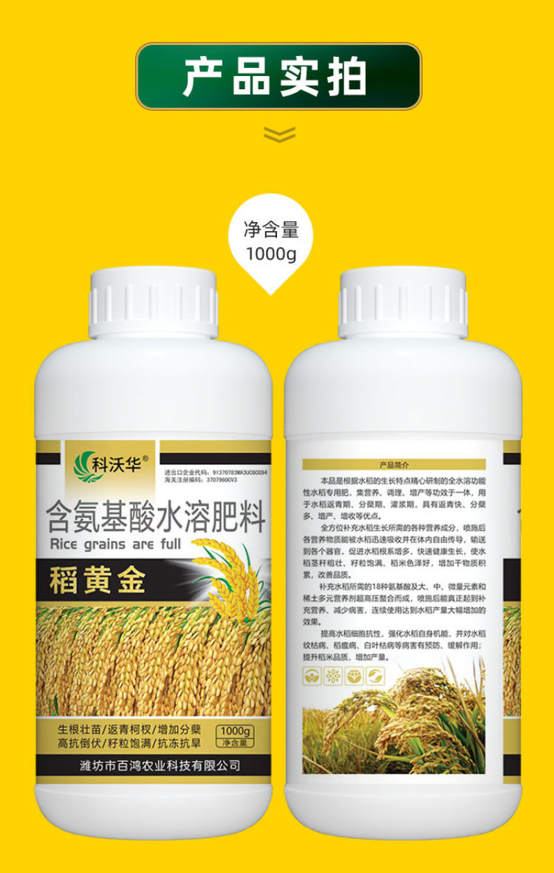 水稻粒粒饱水稻黄金增产促分蘖抗倒伏生根壮苗专用叶面肥料