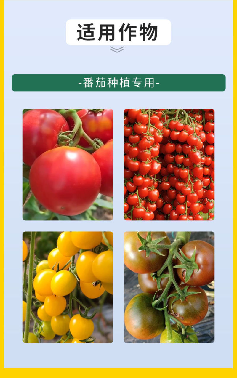 番茄病菌清复合微生物菌剂番茄辣椒黄瓜蔬菜专用叶面肥料