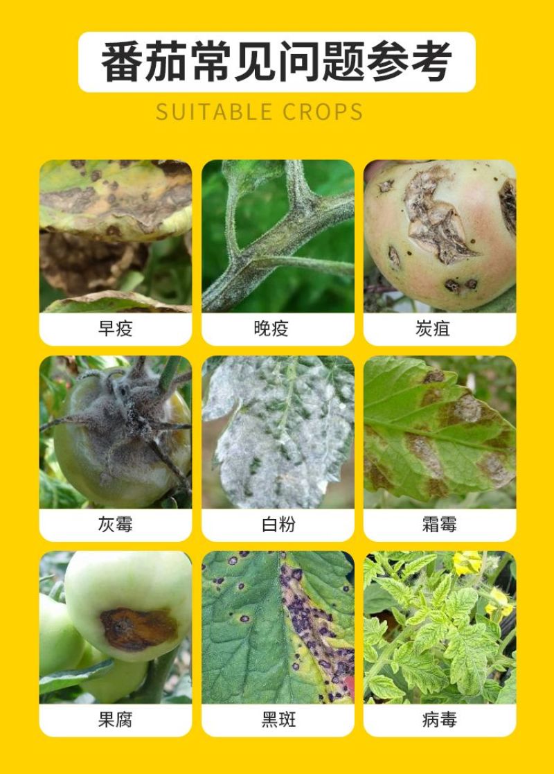 番茄病菌清复合微生物菌剂番茄辣椒黄瓜蔬菜专用叶面肥料