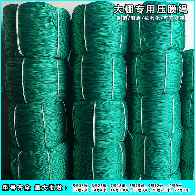 50斤大棚压膜绳尼龙绳风口绳压膜带压膜线捆绑绳聚乙烯