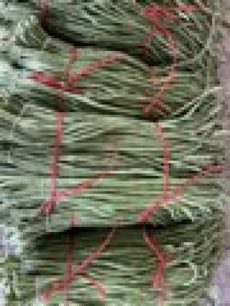 精品豆角一手货源对接平台商超量大从优