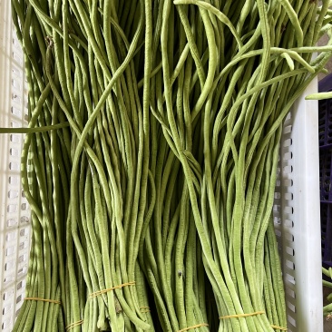 精品豆角一手货源对接平台商超量大从优