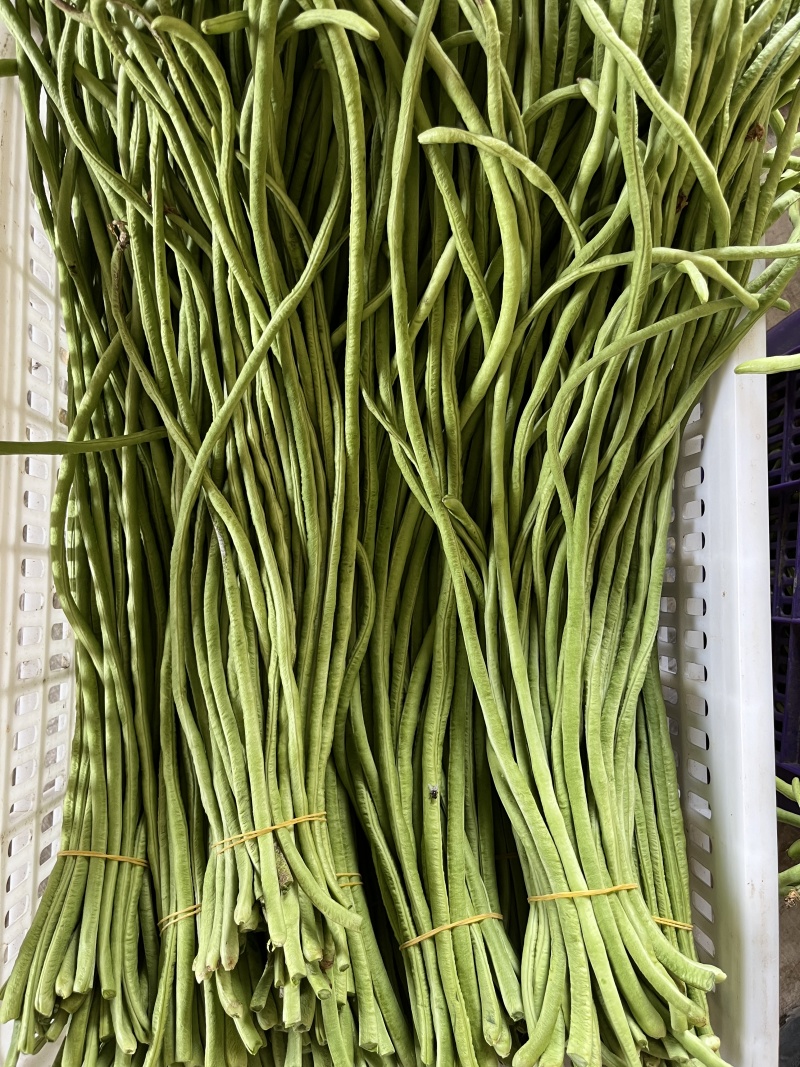 精品豆角一手货源对接平台商超量大从优