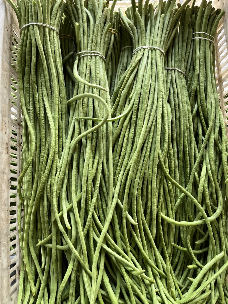 精品豆角一手货源对接平台商超量大从优