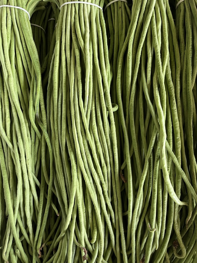 精品豆角一手货源对接平台商超量大从优