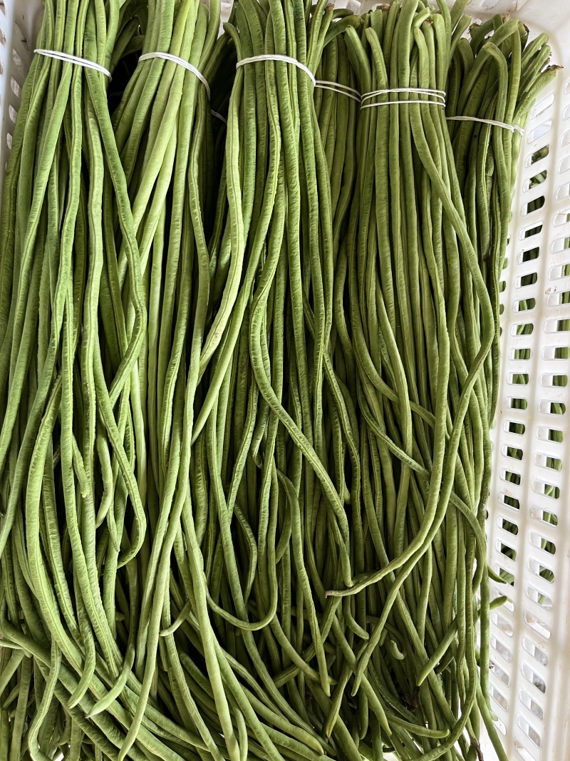 精品豆角一手货源对接平台商超量大从优