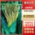 红帽蒜薹，江苏邳州产地直发对接电商商超量大从优，欢迎咨询