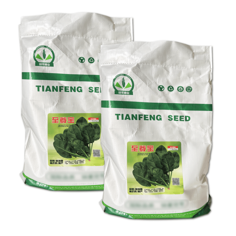 至尊宝菠菜种子10斤原装叶厚圆润色泽浓绿耐热耐寒