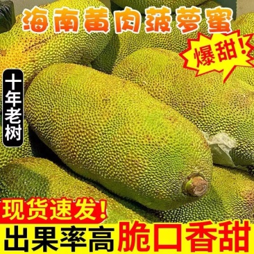 菠萝蜜马来西亚1号菠萝蜜15-30斤果肉超甜