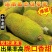 菠萝蜜马来西亚1号菠萝蜜15-30斤果肉超甜