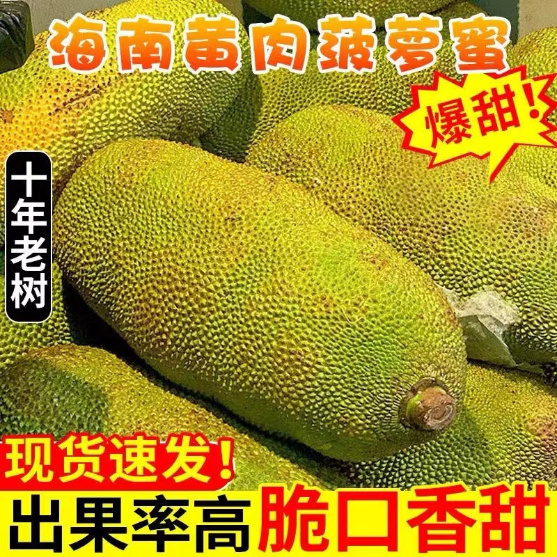 菠萝蜜马来西亚1号菠萝蜜15-30斤果肉超甜