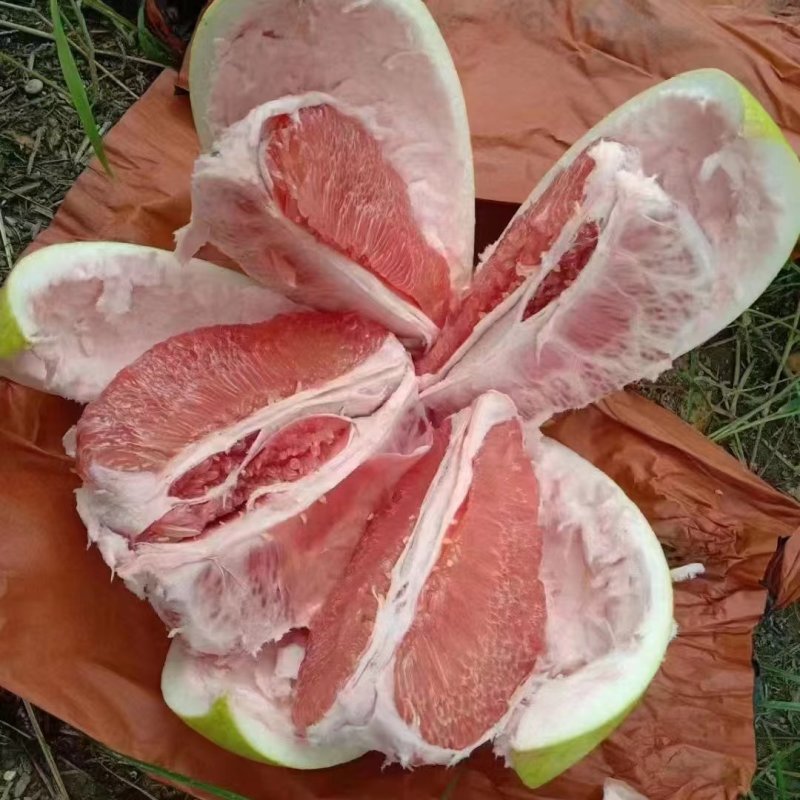 红心柚蜜柚等，品种齐全，基地直发，保质保量，可视频看货