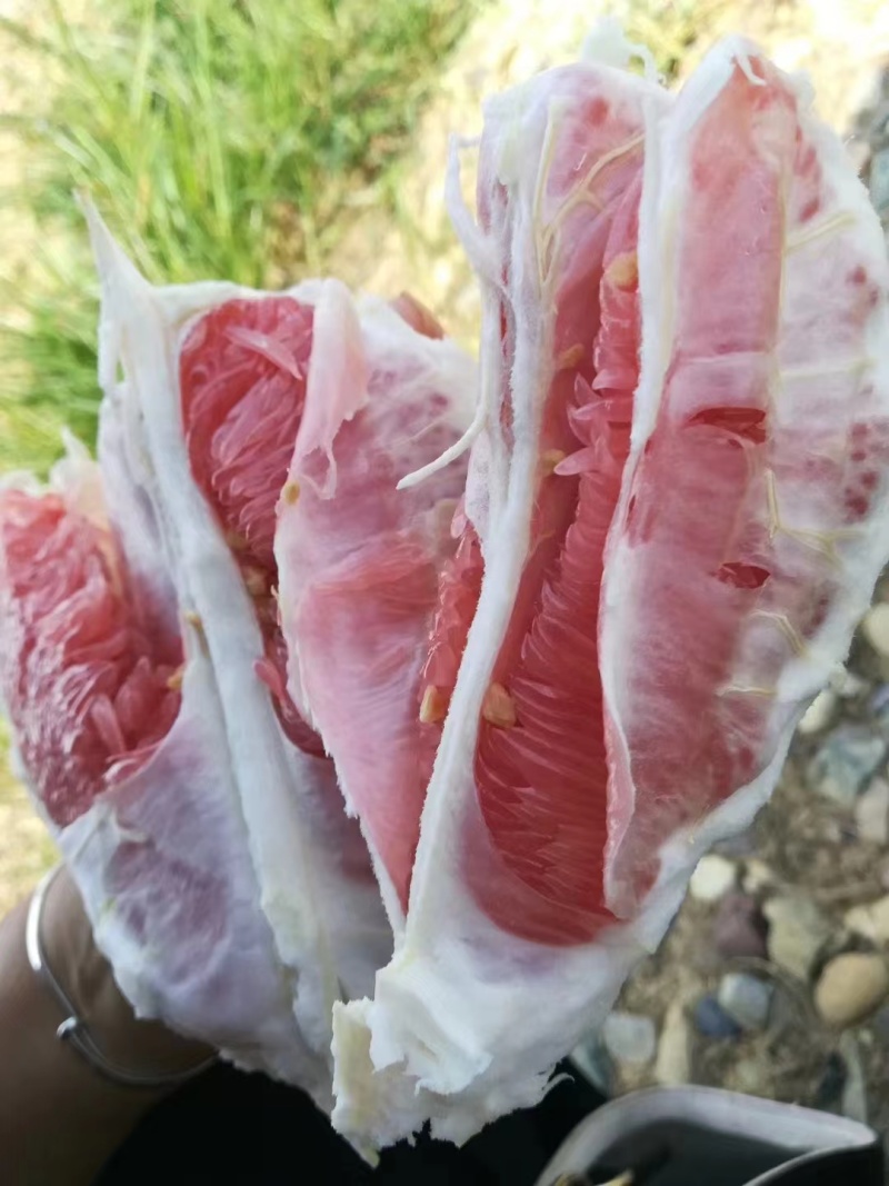红心柚蜜柚等，品种齐全，基地直发，保质保量，可视频看货