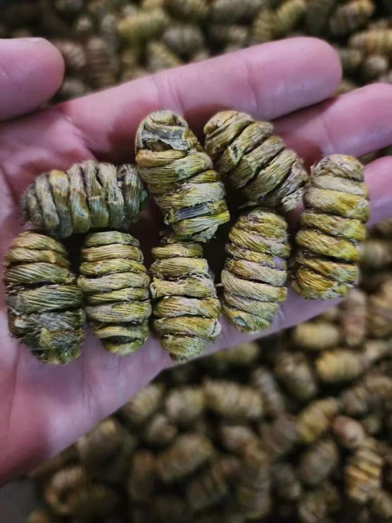 铁皮石斛枫斗霍山铁皮石斛精品一手货源欢迎联系