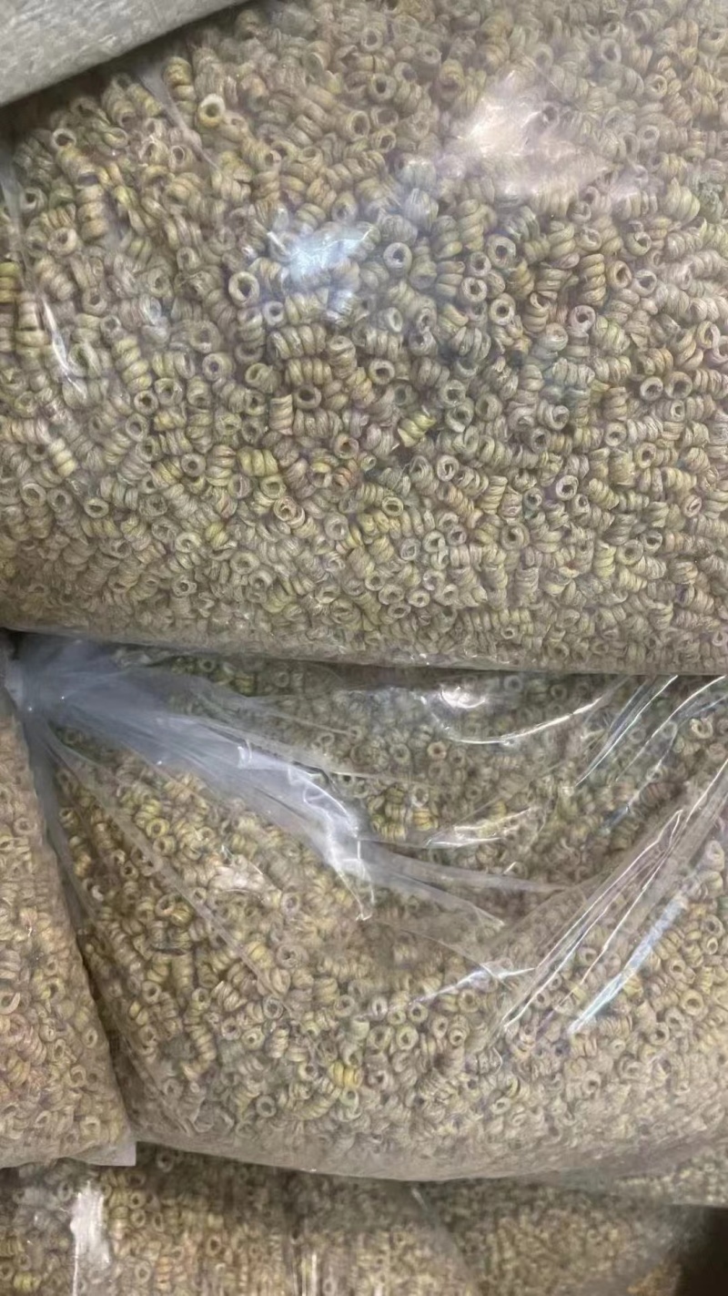 铁皮石斛枫斗霍山铁皮石斛精品一手货源欢迎联系