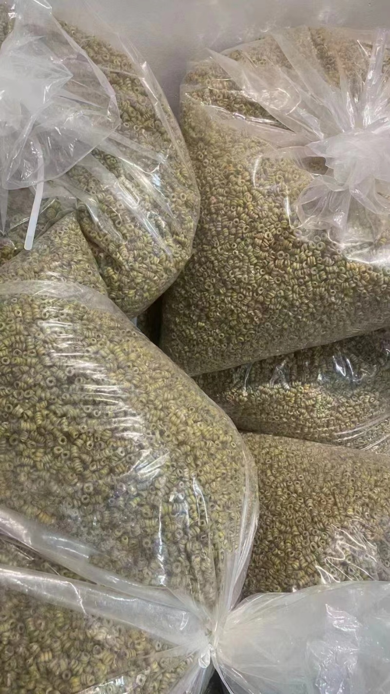 铁皮石斛枫斗霍山铁皮石斛精品一手货源欢迎联系