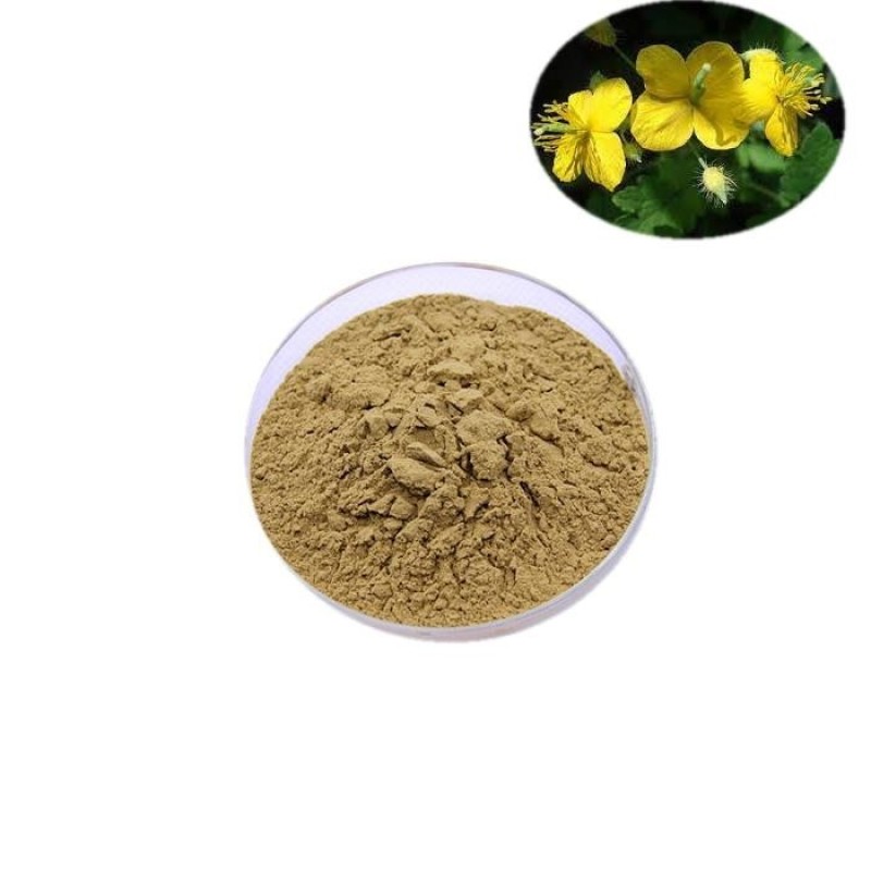 厂家直销白屈菜粉断肠草粉白屈菜原料打粉中药材粉