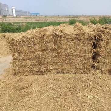 河北饲料原料稻草/量大从优/诚信经营/欢迎老板联系