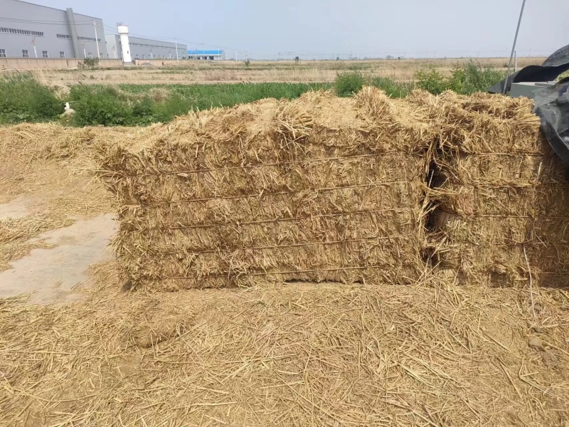河北饲料原料稻草/量大从优/诚信经营/欢迎老板联系