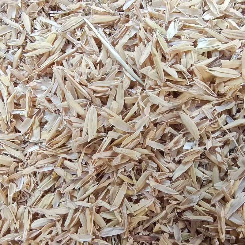 饲料原料散装稻壳厂家直发/量大从优/诚信经营