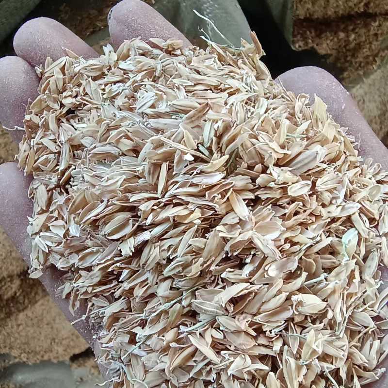饲料原料散装稻壳厂家直发/量大从优/诚信经营