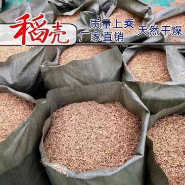 饲料原料散装稻壳厂家直发/量大从优/诚信经营