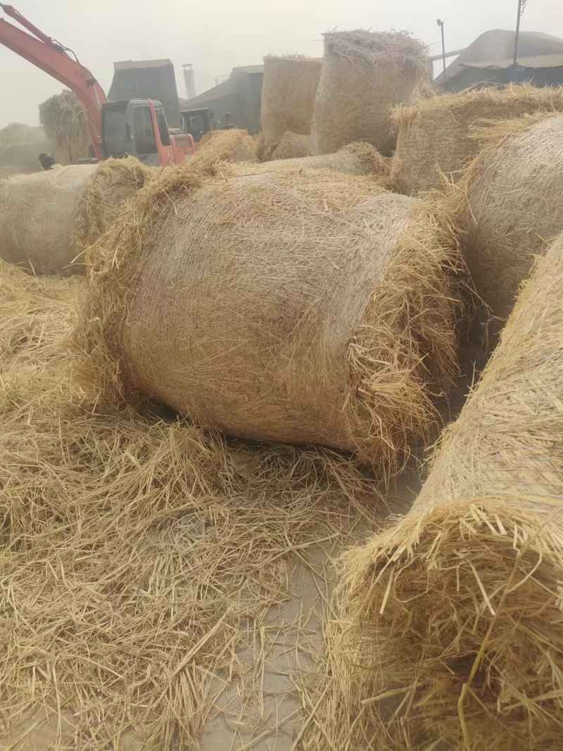 稻草纯小麦秸秆