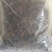 江苏双斑油葫芦蟋蟀中草药蟋蟀宠物饲料蟋蟀规格齐全