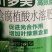 青岛嘉多美芸烁收叶多美高氮型含腐植酸水溶肥料