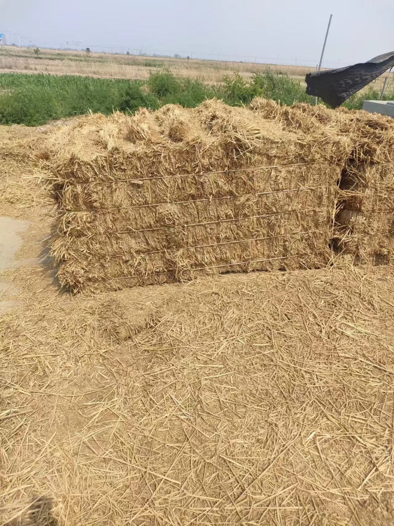 稻草量大从优欢迎选购视频看货产地直发一手货源