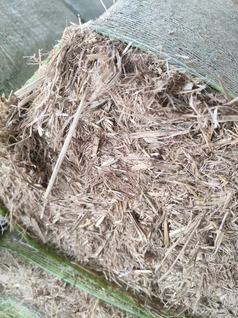 稻草量大从优欢迎选购视频看货产地直发一手货源