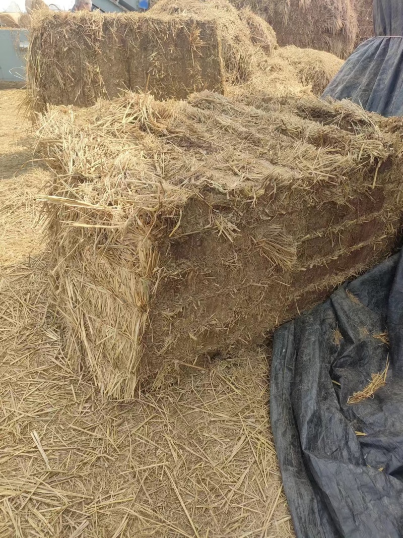 稻草量大从优欢迎选购视频看货产地直发一手货源