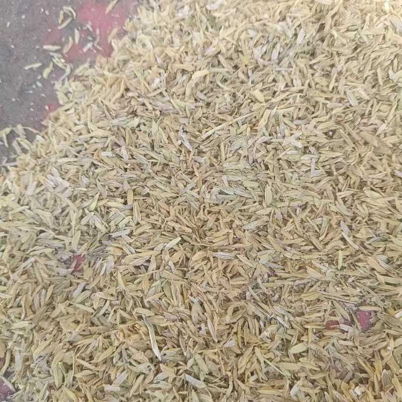 稻壳饲料原料鸡鸭鹅猪饲料添加米糠用于大棚种植