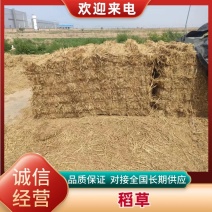 稻草基地直发品质保障对接全国量大优惠视频看货