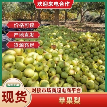 （新鲜直达）甘肃民乐苹果梨果园现摘可视频看货欢迎咨询