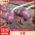 辫子大蒜，35元/辫，瓣红，瓣大，够辣