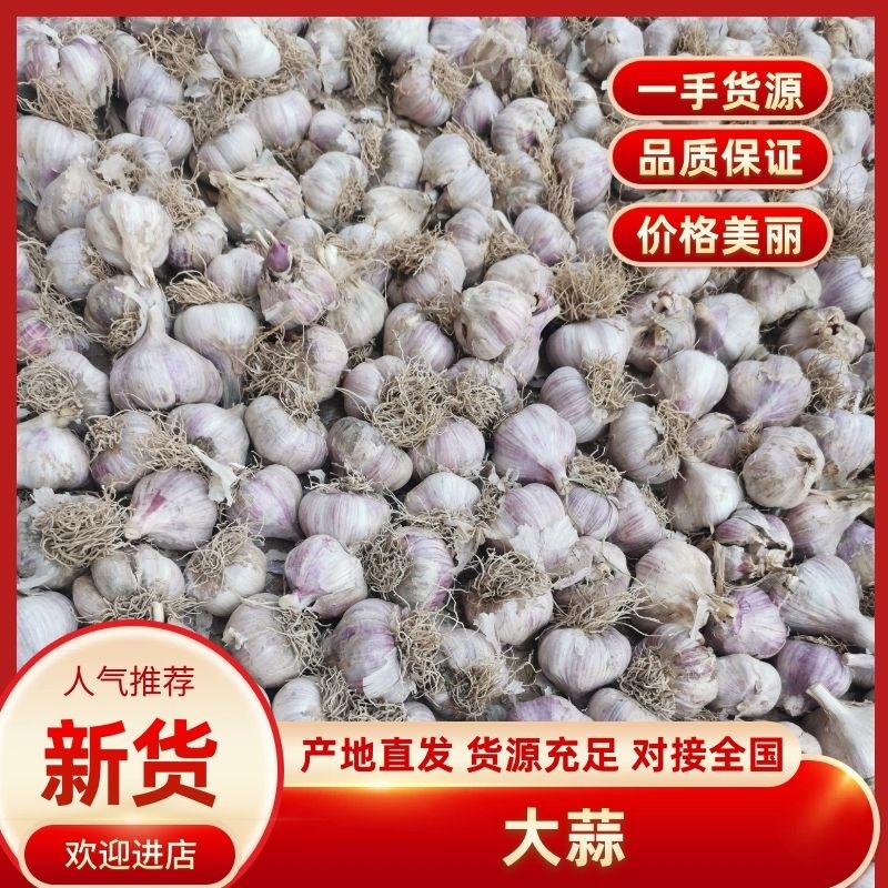 甘肃民乐宏运农产品专业合作社独头蒜瓣红，瓣大，够辣。