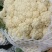 花菜松花菜河南开封发货一手货源全国发货