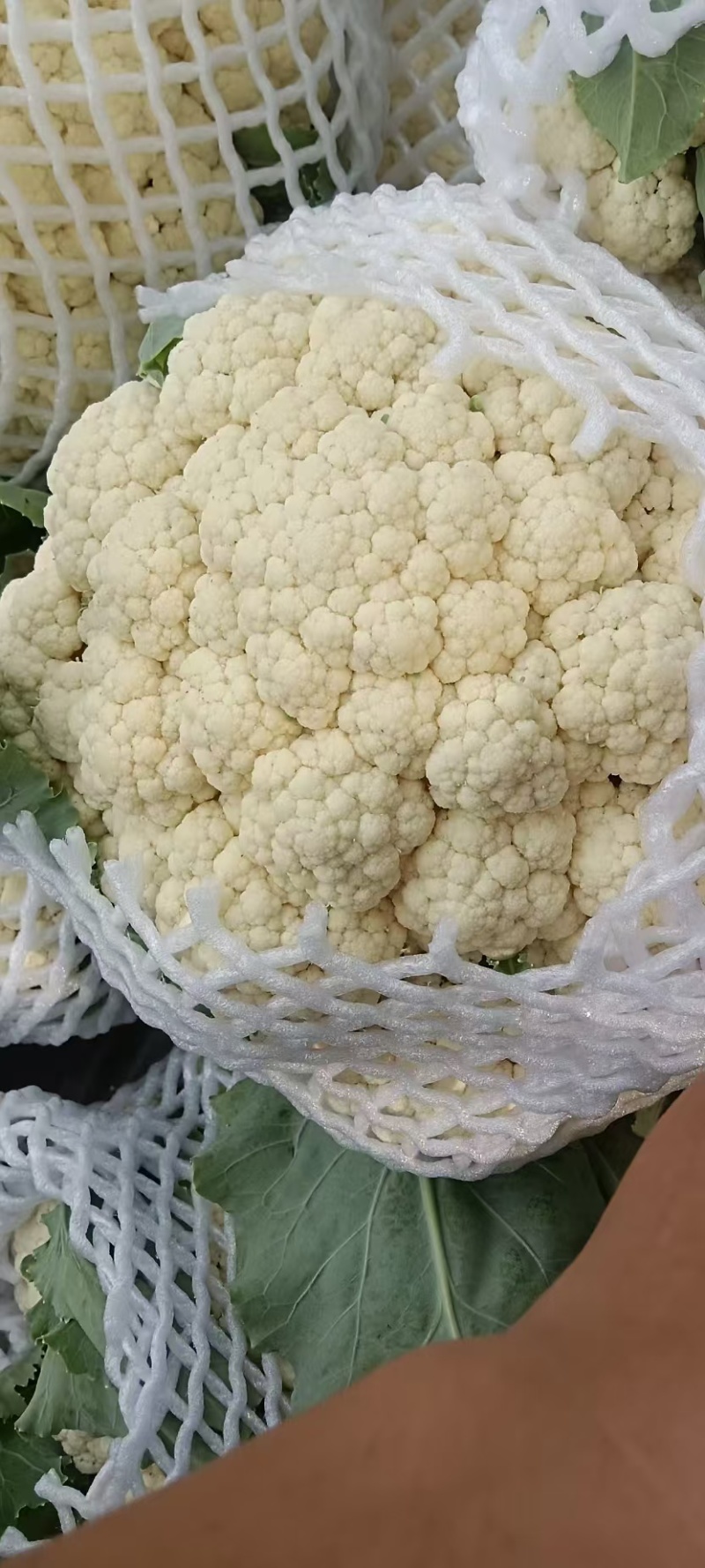 花菜松花菜河南开封发货一手货源全国发货