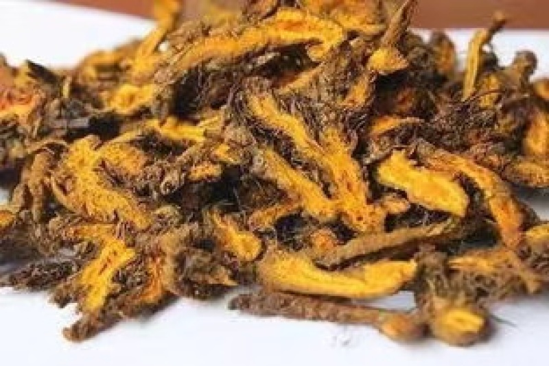 鸡爪黄连