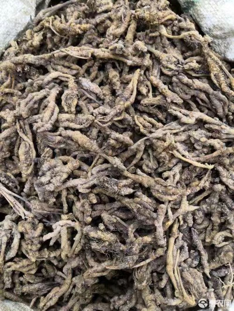 鸡爪黄连
