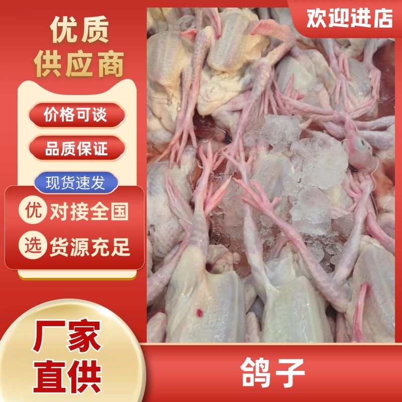 乳鸽，乳鸽肉，产地直发，一手货源，欢迎致电联系