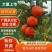 广西东方红世纪红对接商超电商社团市场外贸量大从优