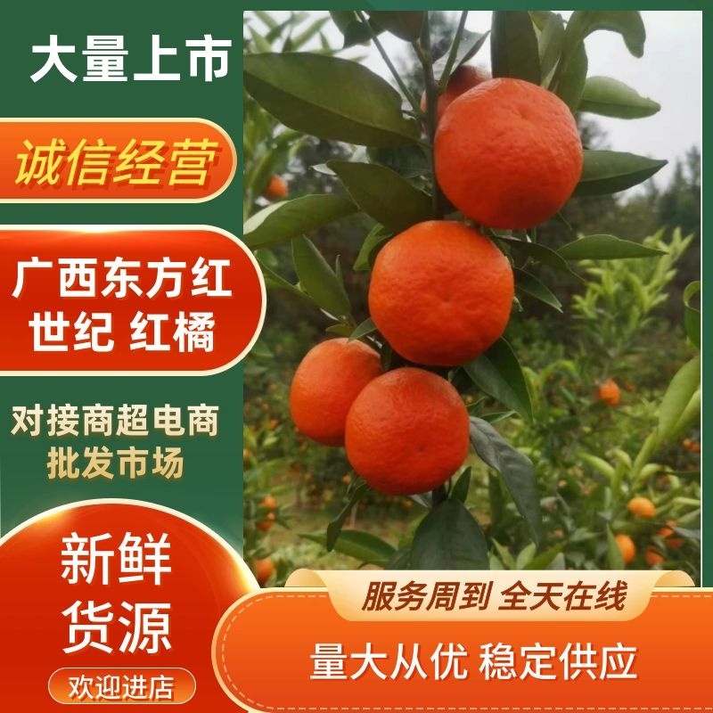广西东方红世纪红对接商超电商社团市场外贸量大从优