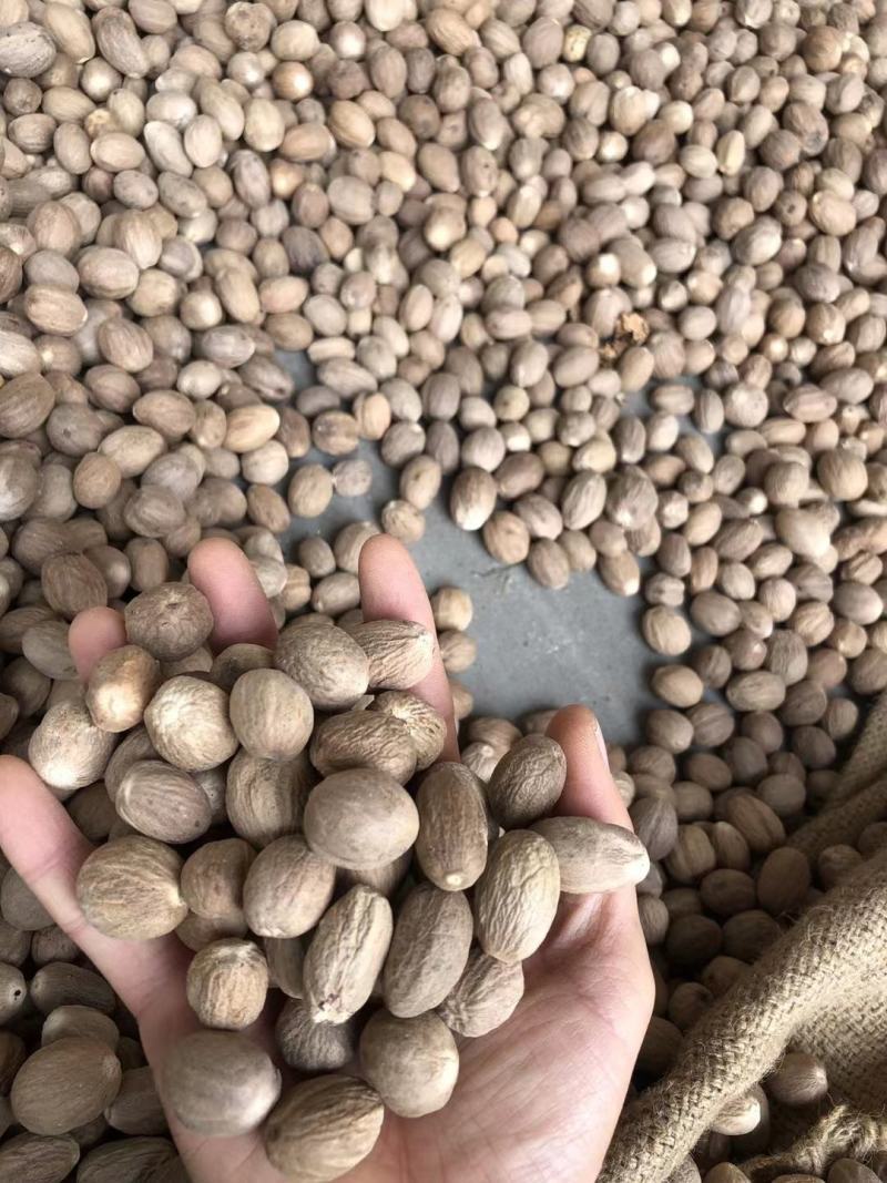 厂家直销肉果粉玉果迦拘勒中药粉细粉肉豆蔻粉香肉豆蔻粉