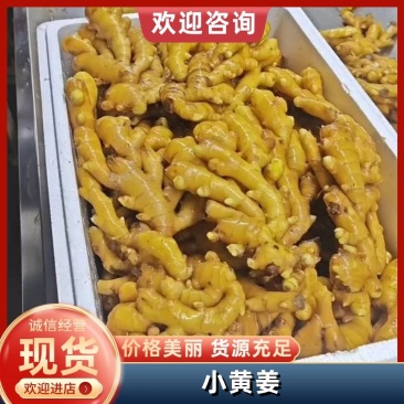 热卖推荐:小黄姜/山东生姜/电商,市场,商超可全国供应发