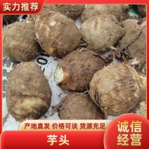 芋头/新鲜现货现挖/按需求加工/全国可发
