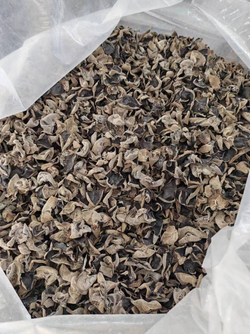 湖北房县黑木耳干货大量货源价格优惠欢迎订购