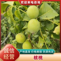 【推荐】山西核桃/新品上市/全国发货/欢迎咨询